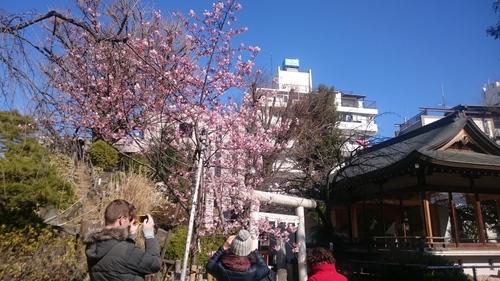 「春はそこまで」_a0075684_23532739.jpg
