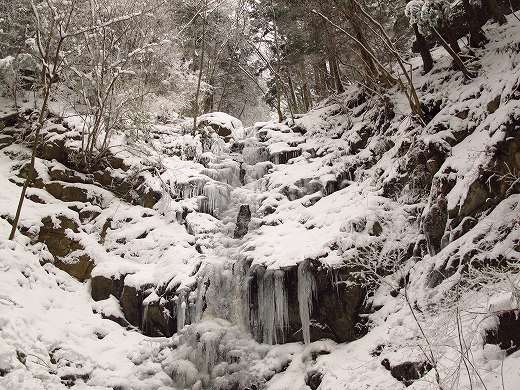 ツツジオ谷から雪の金剛山へ　JA/NR-029　-1_f0073587_21524493.jpg