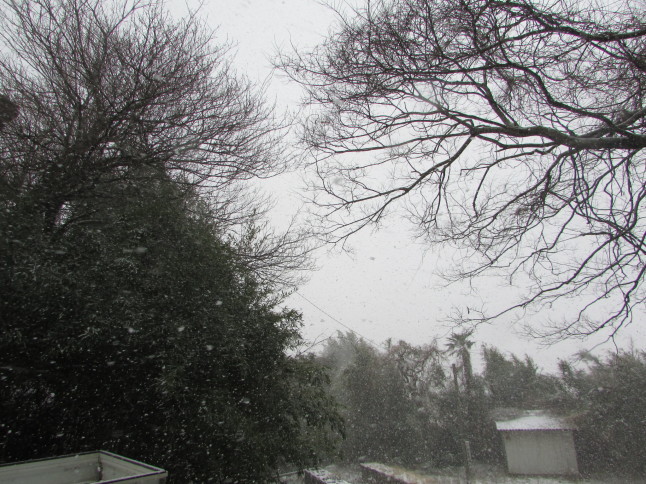 c0335990_12075104.jpg