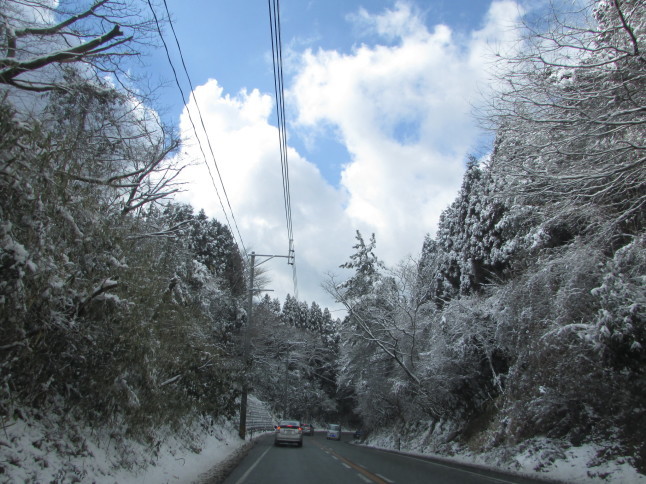 c0335990_12083679.jpg