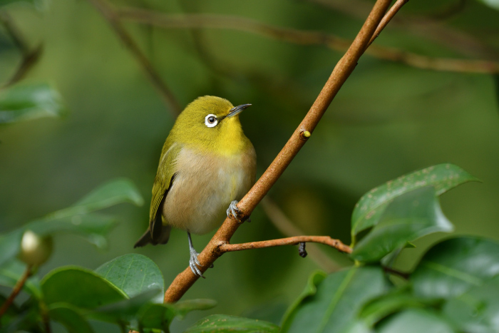 a0143491_2024077.jpg