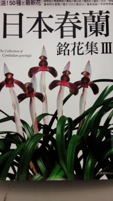 日本春蘭 銘花集Ⅲが入荷しました_f0356792_11411371.jpg