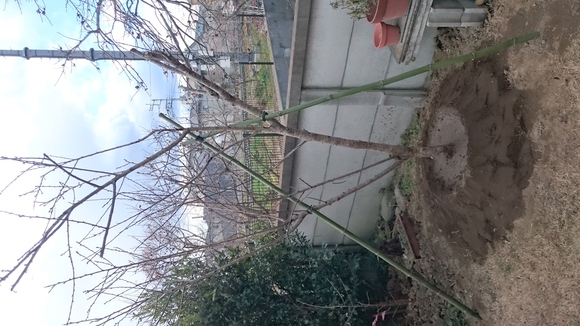 引き継がれる形_c0066693_1830670.jpg