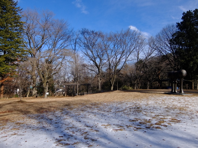 仙台市野草園から歩いて愛宕神社へ_f0100593_19014325.jpg