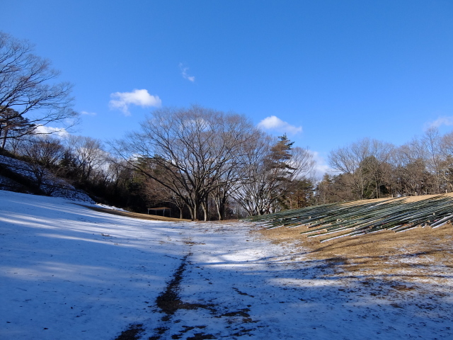 仙台市野草園から歩いて愛宕神社へ_f0100593_19021128.jpg