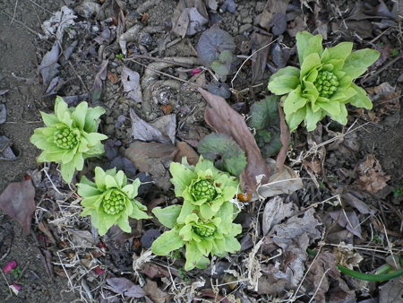 f0239100_17502884.jpg