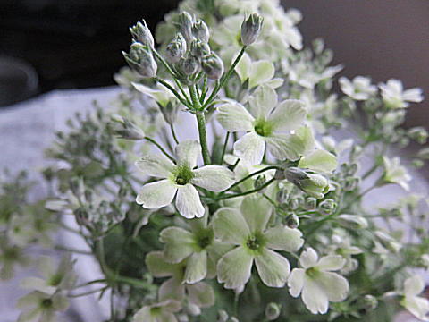 d0046702_07090496.jpg
