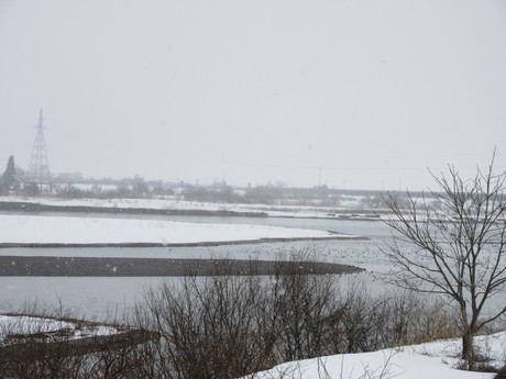 a0203003_1741198.jpg
