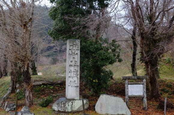 滋賀の旅 その1_e0000910_11455525.jpg