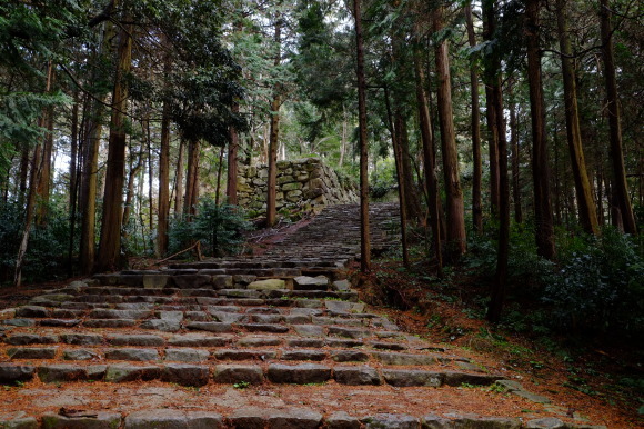 滋賀の旅 その1_e0000910_11491993.jpg