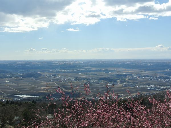 f0006510_00003258.jpg
