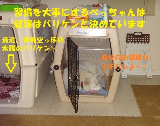 f0121712_08532251.jpg