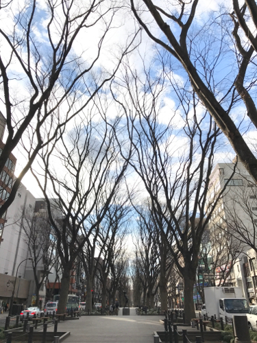 定禅寺通り&カフェ_e0034013_16265021.jpg