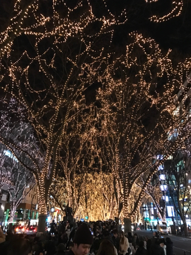 e0034013_17471870.jpg