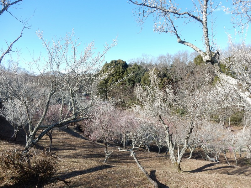 f0182513_07320.jpg