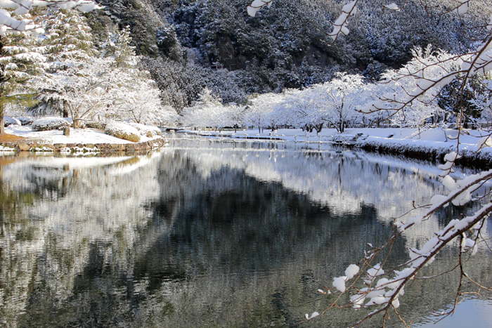 ２０１７年２月１４日　喜ぶ_e0083238_21244220.jpg