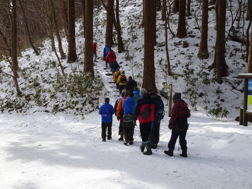 ２月１１日（土）　公園活用講座　「函館山雪中登山　冬山、冬景色を楽しむ」を開催しました。_e0145841_9133419.jpg