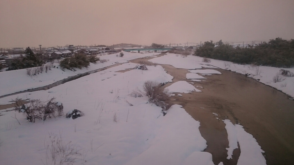 またまた箱館山_b0148050_18355044.jpg