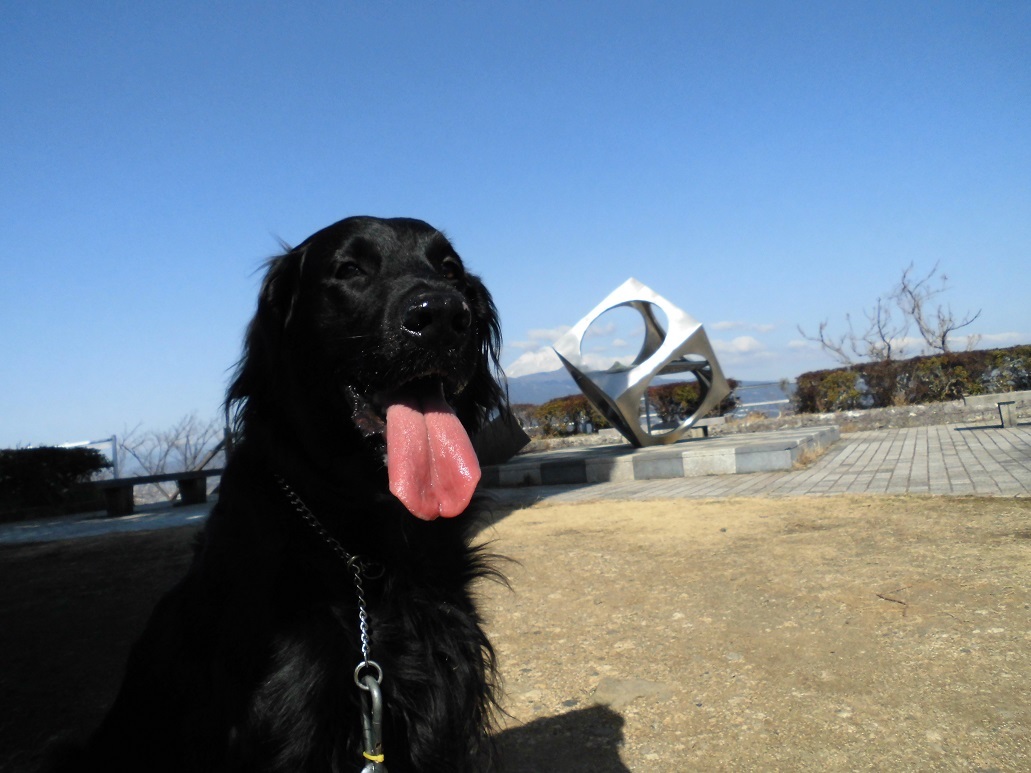 c0347153_09313162.jpg