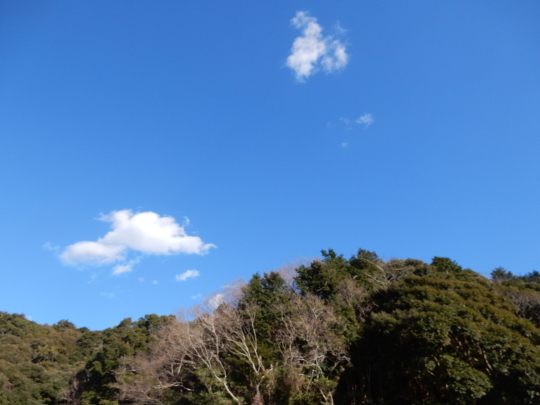 ’17,2,14(火)挑戦していくことが好き!_f0060461_09484134.jpg
