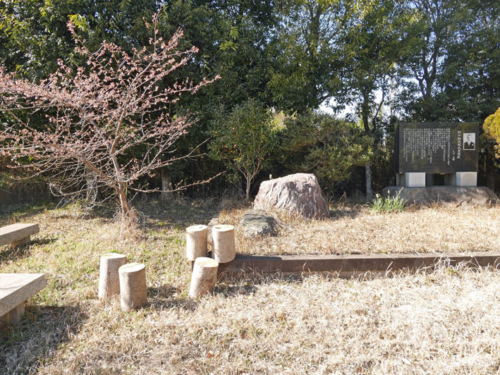 3・11大利根用水の父・野口初太郎翁頌徳碑建立地で花見_c0014967_10090832.jpg