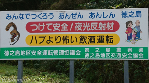 c0307468_16531723.jpg
