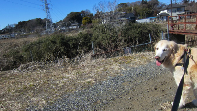a0230369_13574354.jpg