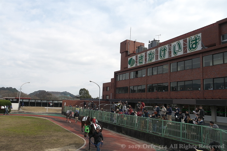 佐賀競馬場_c0361284_19141671.jpg