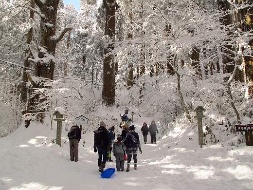 ツツジオ谷から雪の金剛山へ　JA/NR-029　-2_f0073587_0511175.jpg