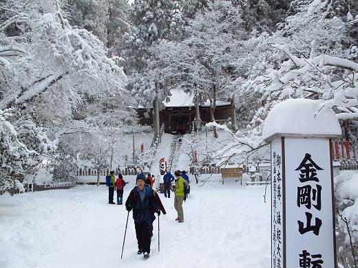 ツツジオ谷から雪の金剛山へ　JA/NR-029　-2_f0073587_052631.jpg