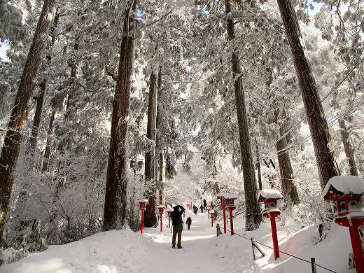 ツツジオ谷から雪の金剛山へ　JA/NR-029　-2_f0073587_0543855.jpg