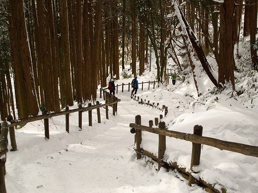 ツツジオ谷から雪の金剛山へ　JA/NR-029　-2_f0073587_12108.jpg