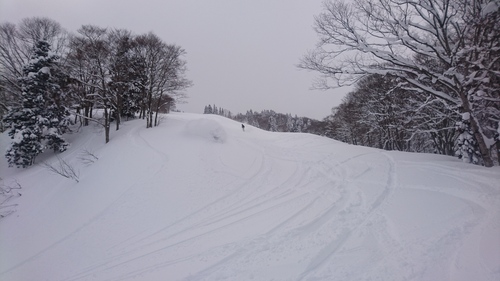 170211 関温泉スキー場(21回目)_e0015490_1838082.jpg