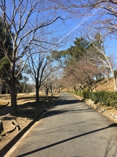 姫路城駅伝2017に参加してきました!_e0117398_20090669.jpg