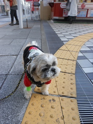 f0372998_09092874.jpg