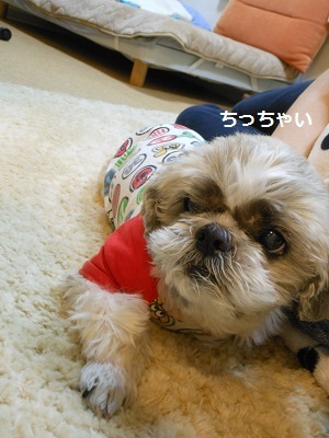 f0372998_09101232.jpg