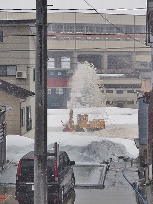 2月の配送日_c0336902_18153045.jpg