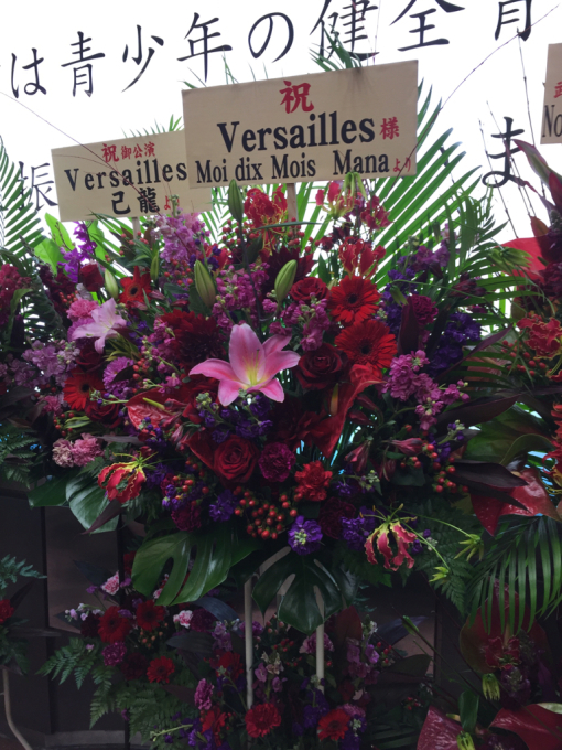 2 14 Versailles Chateau De Versailles 日本武道館 チトセカイ 2 14 Versailles Chateau De Versailles 日本武道館 チトセカイ