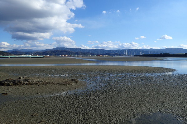 名勝和歌の浦　桜まつり_c0367107_17472495.jpg