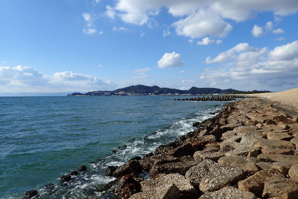 名勝和歌の浦　桜まつり_c0367107_17474056.jpg