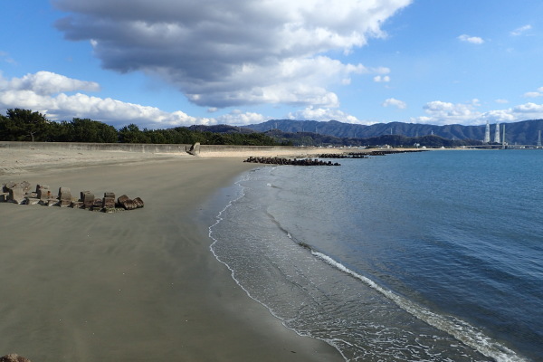 名勝和歌の浦　桜まつり_c0367107_17482015.jpg