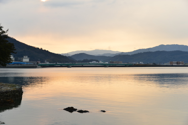 名勝和歌の浦　桜まつり_c0367107_17492198.jpg