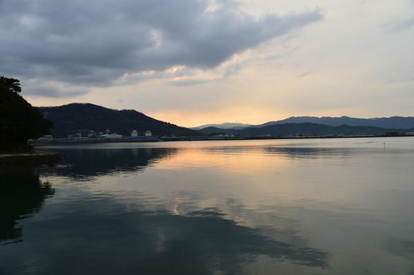 名勝和歌の浦　桜まつり_c0367107_17492890.jpg