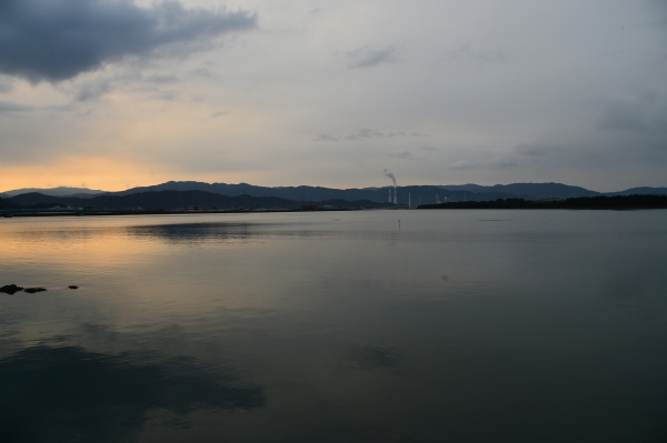 名勝和歌の浦　桜まつり_c0367107_17493970.jpg