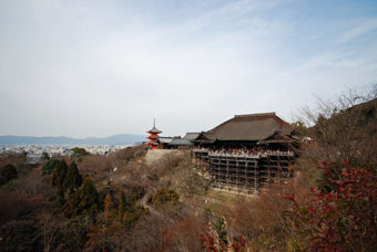 清水寺本堂の屋根の葺き替え_c0195909_13062472.jpg