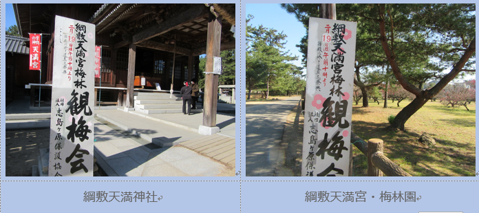 f0231709_17343763.png