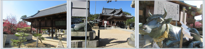 f0231709_17352859.png