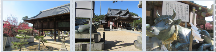 愛媛県今治市の綱敷天満宮・梅林園…2017/2/15_f0231709_17352859.png