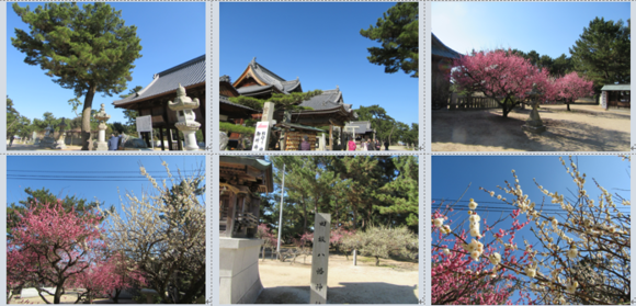 愛媛県今治市の綱敷天満宮・梅林園…2017/2/15_f0231709_17361981.png