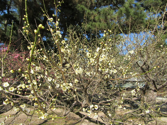 f0231709_17392062.jpg